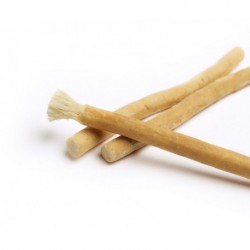 Bâton de Siwak